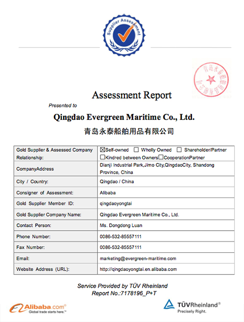 assessment report